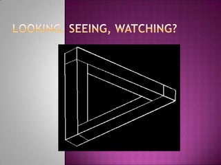 Looking, Seeing, Watching?