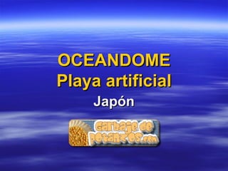 OCEANDOME Playa artificial Japón 