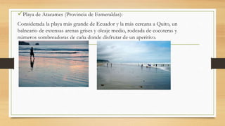 Playa de Atacames (Provincia de Esmeraldas):
Considerada la playa más grande de Ecuador y la más cercana a Quito, un
balneario de extensas arenas grises y oleaje medio, rodeada de cocoteras y
números sombreadoras de caña donde disfrutar de un aperitivo.
 
