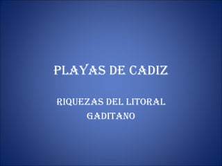 PLAYAS DE CADIZ RIQUEZAS DEL LITORAL GADITANO 