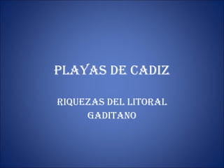 PLAYAS DE CADIZ RIQUEZAS DEL LITORAL GADITANO 