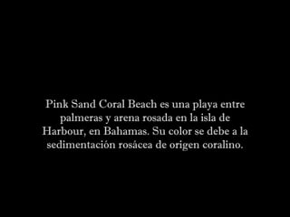 Pink Sand Coral Beach es una playa entre palmeras y arena rosada en la isla de Harbour, en Bahamas. Su color se debe a la ...