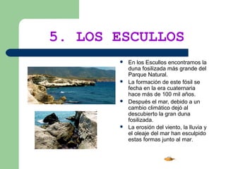 5. LOS ESCULLOS








En los Escullos encontramos la
duna fosilizada más grande del
Parque Natural.
La formación de este fósil se
fecha en la era cuaternaria
hace más de 100 mil años.
Después el mar, debido a un
cambio climático dejó al
descubierto la gran duna
fosilizada.
La erosión del viento, la lluvia y
el oleaje del mar han esculpido
estas formas junto al mar.

 