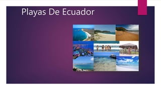 Playas De Ecuador
 