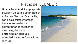 Playas del ECUADOR
Una de las más idílicas playas de
Ecuador, un paraje escondido en
el Parque Nacional Machalilla,
con aguas calmas y arenas
blancas, rodeadas de
extraordinarios escenarios
naturales, donde se
entremezclan bosques,
acantilados y otras formaciones
rocosas.
 