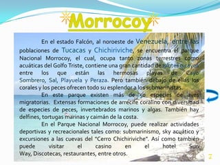 En el estado Falcón, al noroeste de Venezuela, entre las
poblaciones de Tucacas y Chichiriviche, se encuentra el parque
Nacional Morrocoy, el cual, ocupa tanto zonas terrestres como
acuáticas del Golfo Triste, contiene una gran cantidad de islotes o cayos
entre los que están las hermosas playas de Cayo
Sombrero, Sal, Playuela y Peraza. Pero también debajo de ellas los
corales y los peces ofrecen todo su esplendor a los submarinistas.
         En este parque existen más de 50 especies de aves
migratorias. Extensas formaciones de arrecife coralino con diversidad
de especies de peces, invertebrados marinos y algas. También hay
delfines, tortugas marinas y caimán de la costa.
         En el Parque Nacional Morrocoy, puede realizar actividades
deportivas y recreacionales tales como: submarinismo, sky acuático y
excursiones a las cuevas del "Cerro Chichiriviche". Así como también
puede        visitar    el     casino      en      el     hotel       Sun
Way, Discotecas, restaurantes, entre otros.                                 7
 