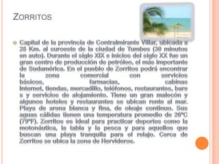 ZORRITOS

 
