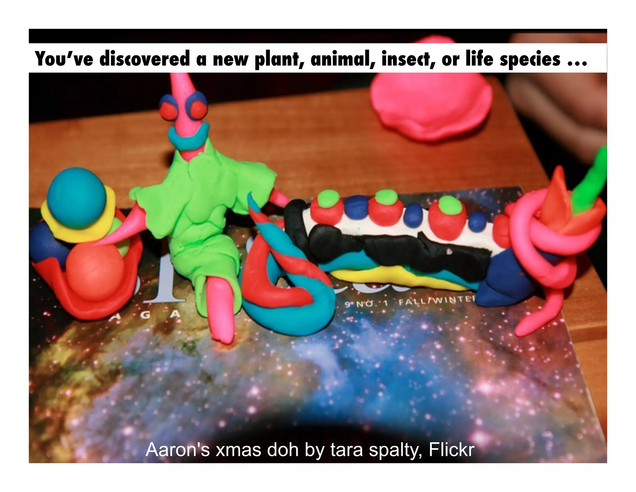 You’ve discovered a new plant, animal, insect, or life species …

Aaron's xmas doh by tara spalty, Flickr

 