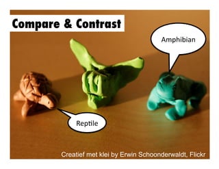 Compare & Contrast
Amphibian	
  

Rep3le	
  

Creatief met klei by Erwin Schoonderwaldt, Flickr

 