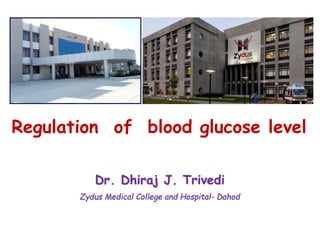 Regulation of blood glucose level
 