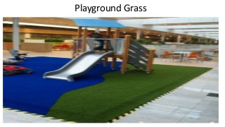 Playground Grass
 