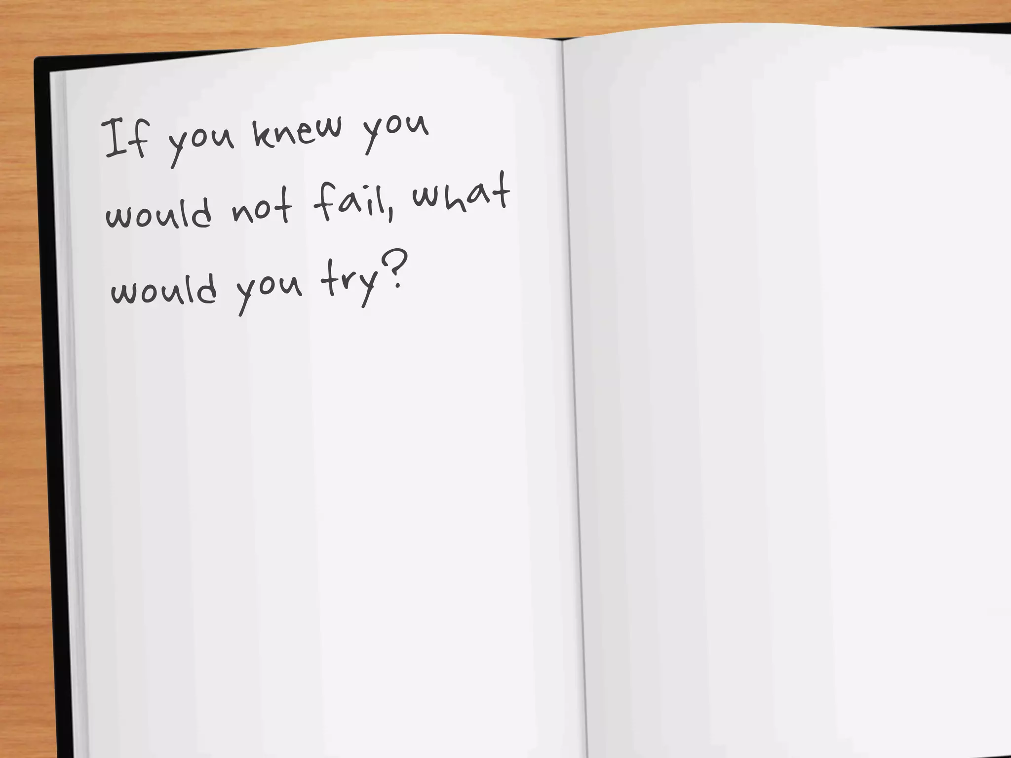 If you  knew you
would not  fail, what
would  you try?
 