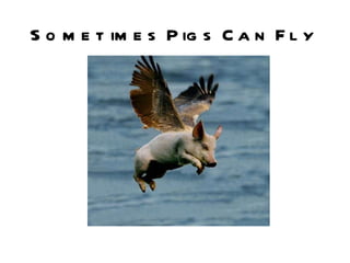 Sometimes Pigs Can Fly 