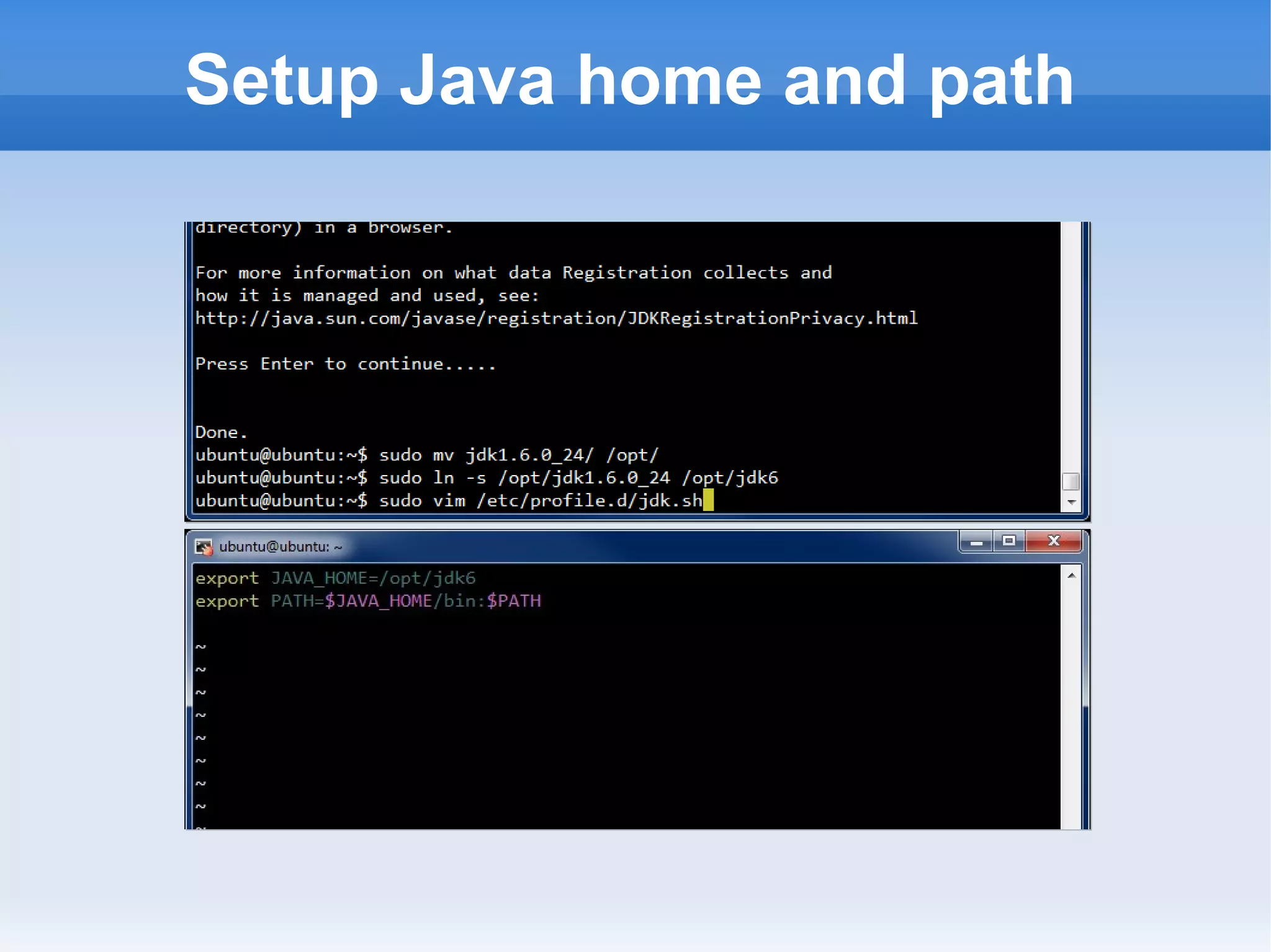 Setup Java home and path

 