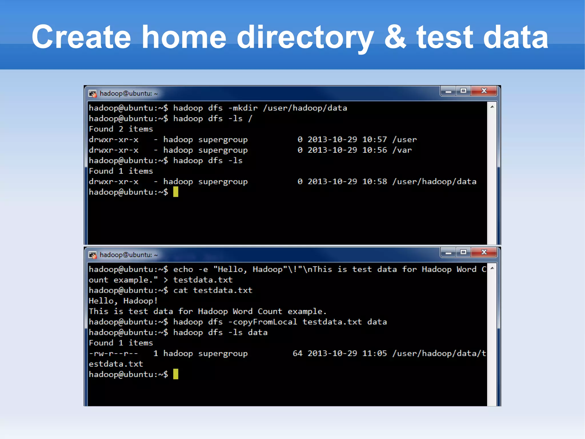 Create home directory & test data

 