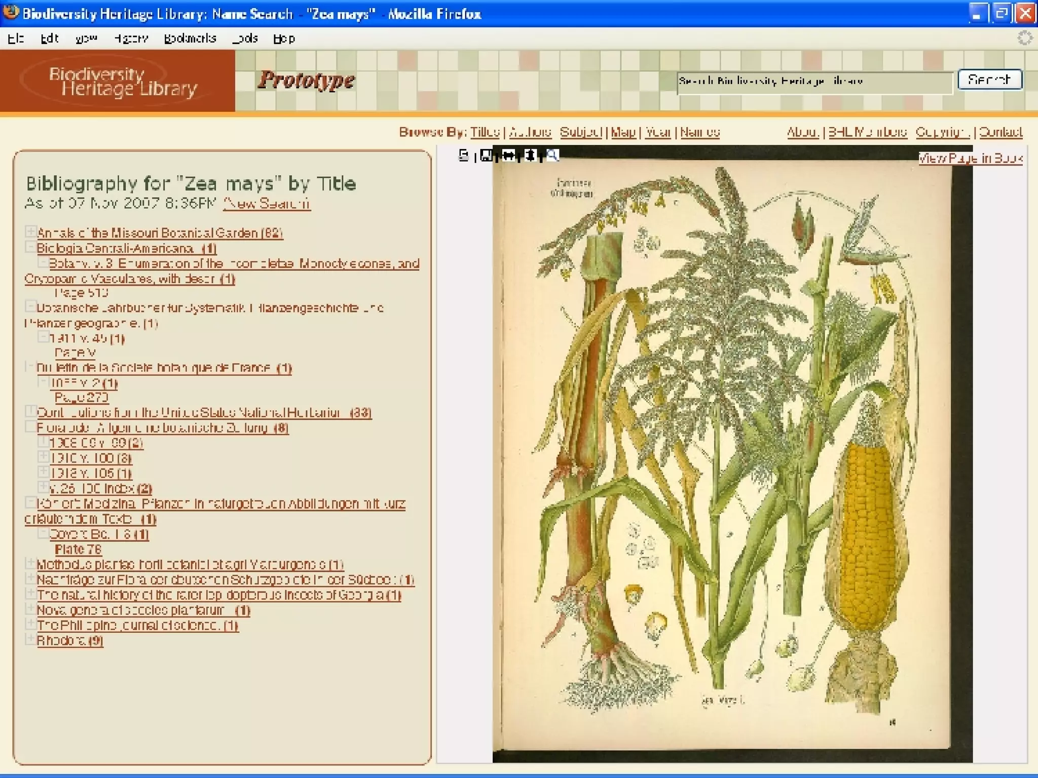 Screenshot of Names Finding 