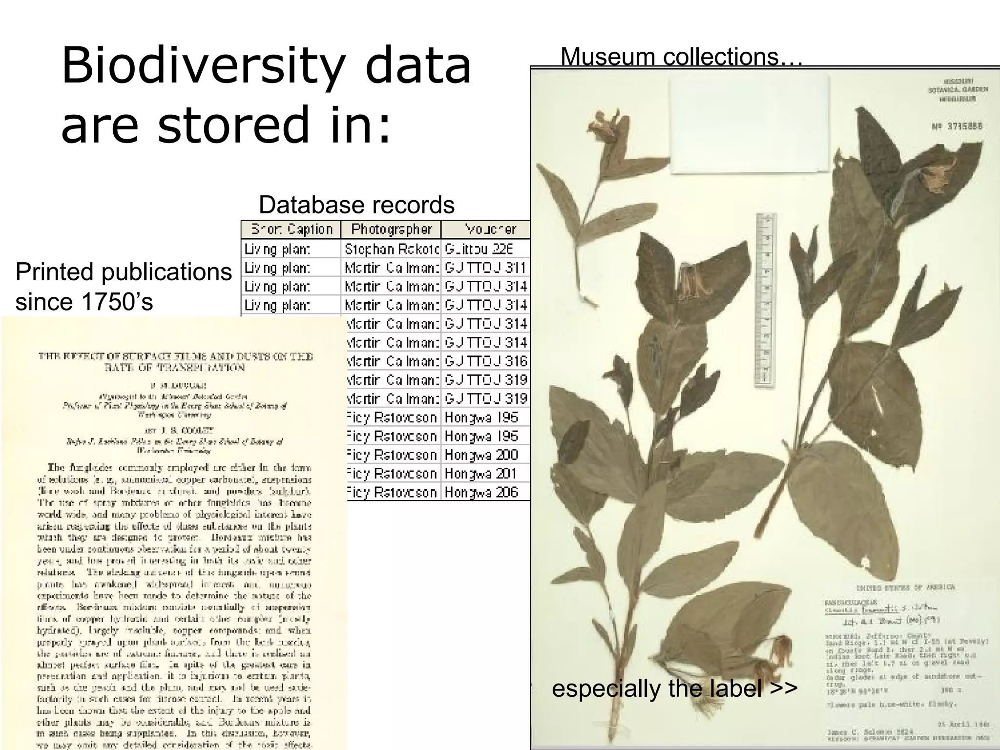 Biodiversity data  are stored in: Printed publications  since 1750’s Museum collections… especially the label >> Database records 