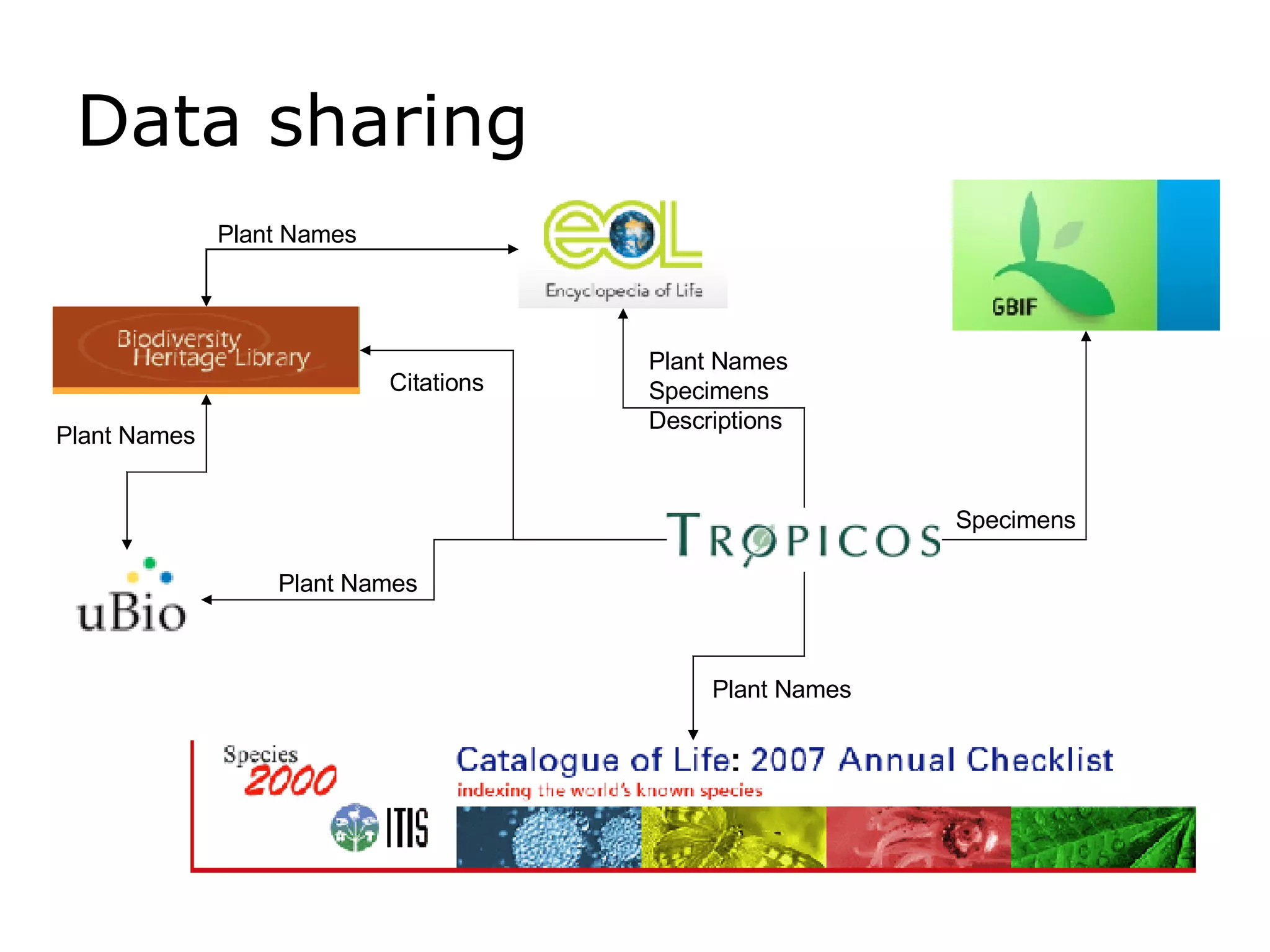 Data sharing Plant Names Specimens Plant Names Plant Names Specimens Descriptions Plant Names Plant Names Citations 