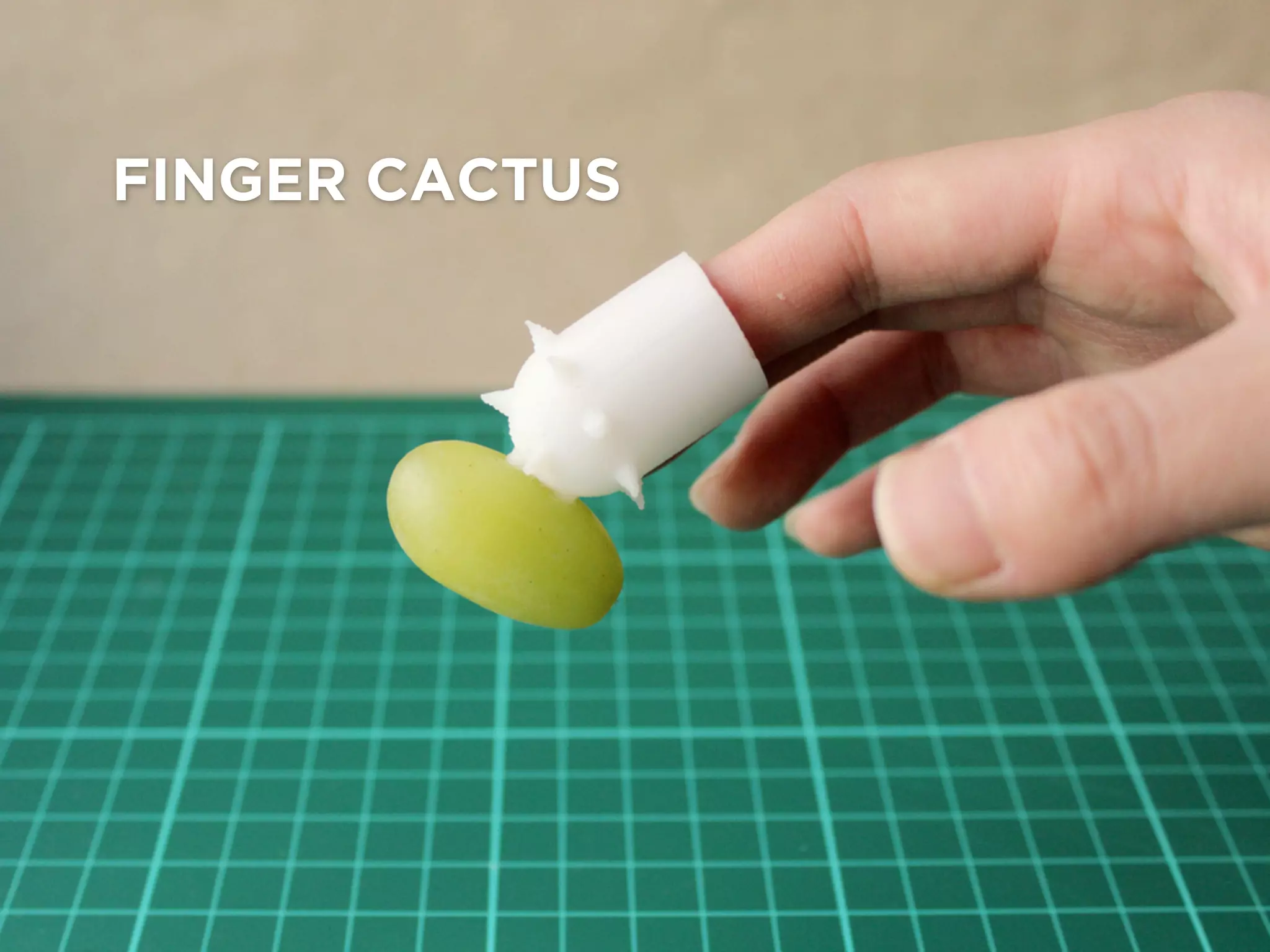 FINGER CACTUS
 
