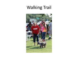 Walking Trail
 
