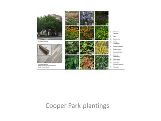 Cooper Park plantings