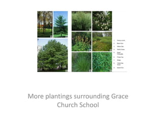 More plantings surrounding Grace Church School