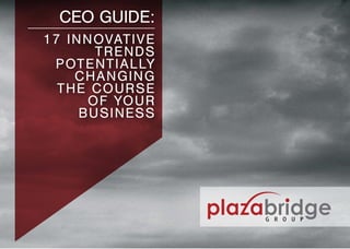 Plazabridge group 17 innovative_trends_chaning_course_ofyourbusiness