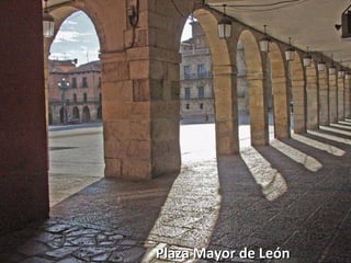 Plaza Mayor de León
 