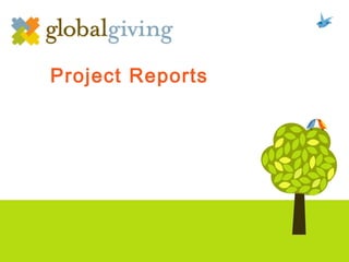 Project Reports 