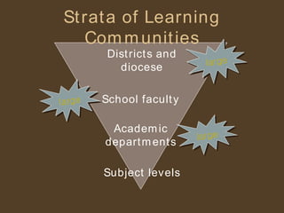 Strata of Learning Communities School faculty Academic departments Subject levels Districts and diocese large large large 