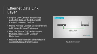 Ethernet Data Link
Layer
• Logical Link Control” establishes
paths for data on the Ethernet to
transmit between devices.
• Media Access Control” uses hardware
addresses to identify devices
• Use of CSMA/CD (Carrier Sense
Multiple Access with Collision
Detection)
• Reduce data collisions and increase
successful data transmission Fig. Data link layer
 