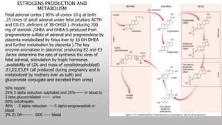 ESTROGENS PRODUCTION AND
METABOLISM
16
Fetal adrenal cortex ( 85% of cortex 10 g at birth
,25 times of adult adrenal under fetal pituitary ACTH
and CG CS ,deficient of 3B-OHSD ) .Producing 200
mg of steroids (DHEA and DHEA-S produced from
pregnenolone sulfate of adrenal and pregnenolone by
placenta metabolized by fetus liver to 16 OH DHEA
and further metabolism by placenta ).The key
enzyme aromatase in placenta( producing E2 and E3
,factor determine the rate of synthesis the sizes of
fetal adrenal, stimulation by tropic hormones
,availability of LDL and mass of synsitiotrophoblast)
.E1,E2,E3,E4 (all produced during pregnancy and is
metabolized by mothers liver as sulfo and
glucoronide conjugate and excreted from urine)
50% hepatic
25% 5 alpha reduction sulphated and 25%------ in blood to
5 beta glucoronidated ------ urine
50% extrahepatic
40% 5 alpha reduction ----5 alpha-pregnanediols in
blood
3% 21 OH-------- DOC ----- blood
 