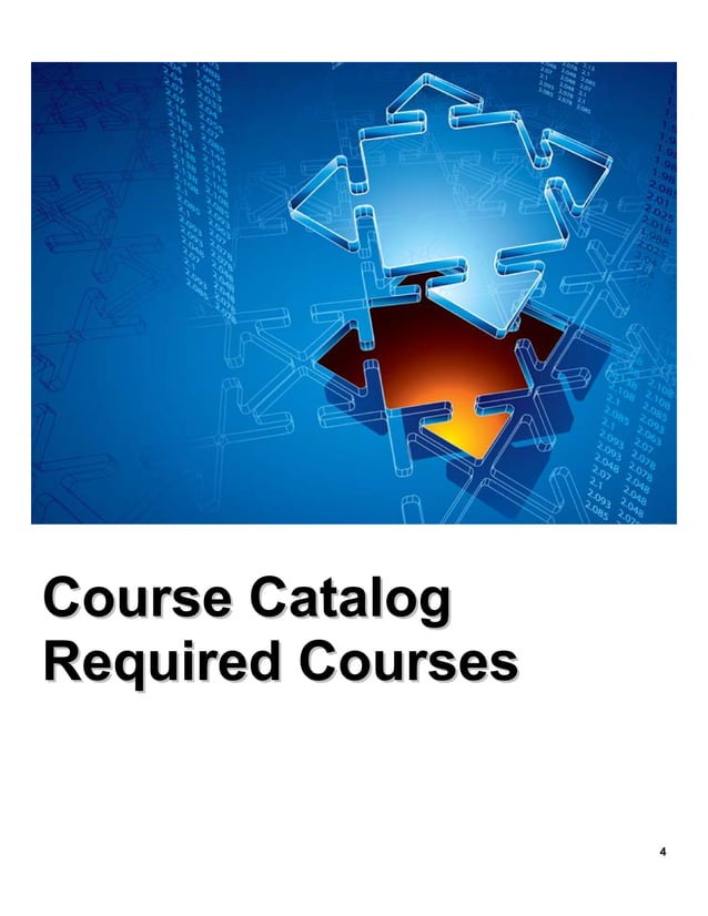 PLCMC Employee Learning & Development Curriculum 20092010 PDF