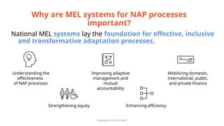 Mel Systems. Examples Thematic Session 1: Components of an effective MEL system.pptx