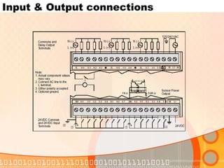 Input & Output connections 
