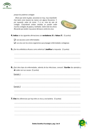  

 

    porque los podemos contagiar.
      Ahora que viene la gripe, vacunarse es muy, muy importante.
    Casi tanto como lavarse las manos con alguna frecuencia. Y,
    por supuesto, antes de comer. Y si no, mira las vías de
    contagio. Conjuntando ambas medidas se pueden evitar
    muchos contagios de gripes y resfriados. Sobre todo los víricos.
    Recuerda que existen muy pocos fármacos contra los virus.


4. Indica sin las siguientes afirmaciones son verdaderas (V) o falsas (F): (5 puntos)

          Las vacunas curan enfermedades
          Los virus son los únicos organismos que propagan enfermedades contagiosas


5. ¿Son los antibióticos eficaces como antivíricos? Justifica tu respuesta. (5 puntos)
     ....................................................................................................................................................

     ....................................................................................................................................................

     ....................................................................................................................................................


6. ¿Qué otros tipos de enfermedades, además de las infecciosas, conoces?. Escribe dos ejemplos y
    di cuáles son sus causas (5 puntos)

    Ejemplo 1: ....................................................................................................................................

     ....................................................................................................................................................

     ....................................................................................................................................................

    Ejemplo 2: ...................................................................................................................................

     ..................................................................................................................................................................

     ..................................................................................................................................................................

7. Cita tres diferencias que hay entre un virus y una bacteria. (5 puntos)
     ..................................................................................................................................................................

     ..................................................................................................................................................................

     ..................................................................................................................................................................

     ..................................................................................................................................................................




                                                 Ámbito Científico-Tecnológico, pág. 3 de 9
 