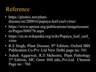 Reference
• https://plantix.net/plant-
disease/en/200016/papaya-leaf-curl-virus/
• https://www.apsnet.org/publications/imageresourc
es/Pages/fi00176.aspx
• https://en.m.wikipedia.org/wiki/Papaya_leaf_curl_
virus
• R.S Singh, Plant Disease, 9th Edition, Oxford IBH
Publication Co-Pvt .Ltd New Delhi page no: 541
• Ashok Aggarwal, R.S Mehrotra, Plant Pathology
3rd Edition, MC Graw Hill edu,.Pvt.Ltd Chennai
Page no : 766
 