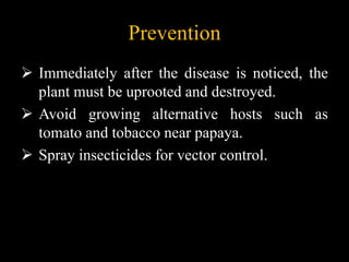 Prevention
 Immediately after the disease is noticed, the
plant must be uprooted and destroyed.
 Avoid growing alternative hosts such as
tomato and tobacco near papaya.
 Spray insecticides for vector control.
 