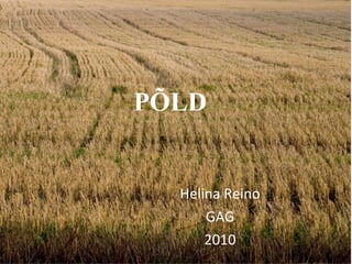 PÕLD Helina Reino GAG 2010 