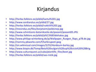 Kirjandus http://herba.folklore.ee/pildid/kartul%201.jpg http://www.sordiaretus.ee/pildid/27.jpg http://herba.folklore.ee/pildid/rukkilill%203.jpg http://mesindus.ee/files/korjetaim/poldsinep.jpg http://www.schmitzens-botanikseite.de/pooant/pooant05.JPG http://herba.folklore.ee/pildid/p%C3%B5ldohakas.jpg http://www.philipp-winterberg.de/p/Wallpaper_Ruegen_Raps_p78.de.jpg http://nammy.pbworks.com/f/Suhkrupeet.jpeg http://en.wikivisual.com/images/5/55/Hordeum-barley.jpg http://www.biopix.dk/Temp/Beta%20vulgaris%20ssp%20cicla%20%28Bright%20light%29%2000001.JPG http://www.culturequest.us/cuba/plantlife_files/beet.jpg http://herba.folklore.ee/pildid/aas-ristik.jpg 