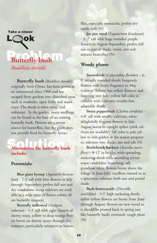 flies, especially monarchs; prefers dry
                                                     sandy soils (N)
                                                          Joe pye weed (Eupatorium fistulosum)
                                                     - 5’-7’ tall with huge rounded purple
                                                     flowers in August-September; prefers full
                                                     sun to partial shade, moist, wet soil;

Problem
Butterfly bush
                                                     attracts butterflies (N)

                                                     Woody plants:
 Buddleia davidii
                                                          Sweetshrub (Calycanthus floridus) – 6-
    Butterfly bush (Buddleia davidii),               9’ broadly rounded shrub; burgundy
 originally from China, has been grown as            flowers with fruity fragrance in May
 an ornamental since 1900 and has                    (cultivar ‘Athens’ has yellow flowers) and
 escaped from gardens into disturbed areas           lingering into July; yellow fall color is
 such as roadsides, open fields and water-           variable with cultivars; trouble-free,
 ways. The shrub is often rangy and                  adaptable shrub
 unkempt. In the garden, many seedlings                   Sweet pepperbush (Clethra alnifolia) -
 can be found at the base of an existing             4-8’ tall with smaller cultivars; white
 butterfly bush. Flowers are a nectar                delightfully fragrant flowers in July-
 source for butterflies, but the plant does          August borne in upright spikes (pink cul-
 not provide food for butterfly larvae.              tivars are available); fall color is pale yel-
                                                     low to rich golden as the season progress-

Solution
 Alternatives for butterfly bush
 include:
                                                     es; tolerates wet, shade, sun and salt (N)
                                                          Bottlebrush buckeye (Aesculus parvi-
                                                     flora) - 8-12’ in height; wide-spreading,
                                                     suckering shrub with ascending pictur-
 Perennials:                                         esque candelabra branching; tall,
                                                     grandiose white flowers borne above the
     Blue giant hyssop (Agastache foenicu-           foliage in June-July; excellent massed or as
 lum) - 2-3’ tall with blue flowers in July          a specimen; tolerates both sun and partial
 through September; prefers full sun and             shade
 dry conditions; many cultivars are avail-                Bush-honeysuckle (Diervilla
 able in a wide array of flower colors; all          sessilifolia) - 3-5’ high suckering shrub;
 are butterfly magnets                               sulfur yellow flowers are borne from June
     Butterfly milkweed (Asclepias                   through August; flowers on new wood so
 tuberosa) - 1-3’ tall with tight clusters of        it should be pruned back in spring just
 showy, waxy, yellow to deep orange flow-            like butterfly bush; extremely tough plant
 ers borne on downy stems through the                (N)
 summer; particularly attractive to butter-

                                                10
 