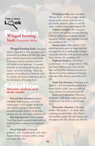 Winterberry holly (Ilex verticillata
                                                      ‘Winter Red’) – 6-10’ in height, similar
                                                      spread; prefers moist, acid soil; sun to
                                                      part shade; attractive yellow to red fall
                                                      color; excellent winter berry appeal (N)
                                                           Virginia sweetspire (Itea virginica) –

Problem
Winged burning
                                                      3-5’ shrub with arching branches forming
                                                      colonies; white fragrant flowers and last-
                                                      ing garnet red fall color; tolerates wet and
 bush Euonymus alatus                                 dry conditions (N)
                                                           Smooth sumac (Rhus glabra) – 9-15’
    Winged burning bush (Euonymus                     suckering shrub; great for large areas but
alatus) originated in Asia and Japan and is           too aggressive for a small garden; orange-
planted for its brilliant red fall color, dark        red-purple fall color with persistent scarlet
green summer leaves and winged stems.                 fruit; tolerates dry conditions (N)
It has been used as a medium-sized (5-                     Highbush blueberry (Vaccinium
10’) shrub in the landscape. It spreads               corymbosum) – 6-12’ upright shrub; white
primarily by bird dispersal of seeds so its           urn-shaped flowers, blue fruit and bril-
impact can be far-reaching. There are                 liant red fall color; tolerates wet soil con-
portions of woodlands in Delaware with                ditions; has all the attributes of burning
an entirely red autumn understory due to              bush plus white flowers and edible fruit!
the dominance of burning bush.                        (N)
                                                           Maple leaf viburnum (Viburnum acer-

Solution
Alternative moderate sized
shrubs include:
                                                      ifolium) – 4-6’ low branching shrub that
                                                      forms thickets; pink, rose to purple fall
                                                      color; tolerates dry soil and shade (N)
                                                           Arrowwood viburnum (Viburnum
    Red and black chokeberry (Aronia                  dentatum) – 6-8’ dense, multi-stemmed
arbutifolia ‘Brilliantissima’ and Aronia              shrub; good rosy pink to red fall color
melonocarpa) – 6-10’ upright shrub with               (N)
white flowers and red or black berries;                    Winterthur viburnum (Viburnum
naturalizing habit; brilliant red fall color;         nudum ‘Winterthur’) – 6’ shrub with a
tolerates wet, dry and urban conditions (N)           suckering rounded habit; white flowers
    Red twig dogwood (Cornus sericea) –               and excellent purple fall color that persists
7 to 9 foot multi-stemmed shrub with red              throughout the fall; tolerates wet soil (N)
stems in winter; tolerates wet conditions
(N)
    Dwarf fothergilla (Fothergilla
gardenii) – 3-6’ rounded shrub with white
fragrant flowers and great yellow, orange
and scarlet fall color
                                                 12
 