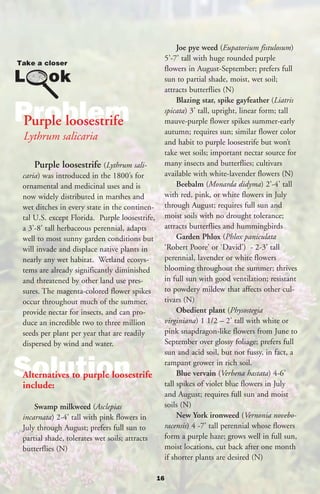 Joe pye weed (Eupatorium fistulosum)
                                                     5’-7’ tall with huge rounded purple
                                                     flowers in August-September; prefers full
                                                     sun to partial shade, moist, wet soil;
                                                     attracts butterflies (N)
                                                          Blazing star, spike gayfeather (Liatris

Problem
Purple loosestrife
                                                     spicata) 3’ tall, upright, linear form; tall
                                                     mauve-purple flower spikes summer-early
                                                     autumn; requires sun; similar flower color
 Lythrum salicaria                                   and habit to purple loosestrife but won’t
                                                     take wet soils; important nectar source for
     Purple loosestrife (Lythrum sali-               many insects and butterflies; cultivars
 caria) was introduced in the 1800’s for             available with white-lavender flowers (N)
 ornamental and medicinal uses and is                     Beebalm (Monarda didyma) 2’-4’ tall
 now widely distributed in marshes and               with red, pink, or white flowers in July
 wet ditches in every state in the continen-         through August; requires full sun and
 tal U.S. except Florida. Purple loosestrife,        moist soils with no drought tolerance;
 a 3’-8’ tall herbaceous perennial, adapts           attracts butterflies and hummingbirds
 well to most sunny garden conditions but                 Garden Phlox (Phlox paniculata
 will invade and displace native plants in           ‘Robert Poore’ or ‘David’) - 2-3’ tall
 nearly any wet habitat. Wetland ecosys-             perennial, lavender or white flowers
 tems are already significantly diminished           blooming throughout the summer; thrives
 and threatened by other land use pres-              in full sun with good ventilation; resistant
 sures. The magenta-colored flower spikes            to powdery mildew that affects other cul-
 occur throughout much of the summer,                tivars (N)
 provide nectar for insects, and can pro-                 Obedient plant (Physostegia
 duce an incredible two to three million             virginiana) 1 1/2 – 2’ tall with white or
 seeds per plant per year that are readily           pink snapdragon-like flowers from June to
 dispersed by wind and water.                        September over glossy foliage; prefers full
                                                     sun and acid soil, but not fussy, in fact, a

Solution
 Alternatives to purple loosestrife
 include:
                                                     rampant grower in rich soil.
                                                          Blue vervain (Verbena hastata) 4-6’
                                                     tall spikes of violet blue flowers in July
                                                     and August; requires full sun and moist
     Swamp milkweed (Asclepias                       soils (N)
 incarnata) 2-4’ tall with pink flowers in                New York ironweed (Vernonia novebo-
 July through August; prefers full sun to            racensis) 4 -7’ tall perennial whose flowers
 partial shade, tolerates wet soils; attracts        form a purple haze; grows well in full sun,
 butterflies (N)                                     moist locations, cut back after one month
                                                     if shorter plants are desired (N)

                                                16
 