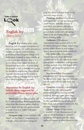 grass-like leaves; tolerates shade or sun
                                                   and wide range of soils
                                                        Plumbago, leadwort (Ceratostigma
                                                   plumbaginoides) 12" tall spreading ground
                                                   cover; intense, dark-blue flowers in
                                                   summer to late autumn; fall color is

Problem
English Ivy
                                                   wonderful bronze-red; prefers sun to
                                                   partial shade; works well with spring
                                                   bulbs as late developing foliage covers
Hedera helix                                       leaves of fading bulbs
                                                        Goldenstar (Chrysogonum
   English Ivy (Hedera helix), intro-              virginianum) dense ground cover to 10";
duced by early European immigrants, is             deciduous dark green foliage; long lasting
extremely popular and widely planted as a          golden yellow flowers in mid to late
durable and dense, weed-excluding                  spring; grows in partial shade to full sun
groundcover with evergreen foliage. It is               Lily-of-the-valley (Convallaria
challenging to match its dependability as          majalis) vigorous, dense deciduous
a year-round ground cover. But, it is a            ground cover to 8" tall, spreads by under-
serious threat to all vegetation levels of         ground stems or rhizomes, arching stems
forested and open areas. It grows along            produce scented, waxy, bell-shaped white
the ground as well as into the tree canopy.        flowers in spring; prefers partial shade or
Ivy spreads to neighboring properties by           full sun
vegetative means and further a-field by                 Hay-scented fern (Dennstaedtia
spring-maturing seed dispersed by birds            punctilobula) 2-3’ tall clump-forming
when other food sources are scarce.                deciduous fern, dense, vigorous colonizer,
                                                   tolerates poor soil and both shade and

Solution
Alternatives for English ivy
include those suggested for
                                                   sun (N)
                                                        Geranium (Geranium x cantabrigiense
                                                   'Biokovo' ) 8" tall, semi-evergreen
periwinkle (Vinca minor) plus:                     groundcover, gently running and self-
                                                   repairing, forming a neat green carpet
    Wood aster (Aster divaricatus) 3’ tall         overtopped by pink-tinged white flowers
by 2’ wide spreading, flowering perennial;         in May and June; thrives in full sun to
white daisy-like flowers; prefers shade to         light shade and average to moist soils, but
partial shade and dry soil; good naturaliz-        also quite drought tolerant
er under trees or as a filler with other                Lilyturf, liriope (Liriope spicata,
perennials (N)                                     L. muscari) 18" tall, rhizomatous (L. spi-
    Variegated sedge (Carex morrowii ‘Silk         cata) or clump-forming (L. muscari)
Tassel’, or ‘Ice Dance’) - mounding to 1’          spreading, dark-green grass-like plant;
in height, green and cream variegated              spikes of lavender to white flowers in late

                                              22
 