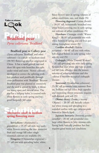 fleecy flowers later in spring; tolerant of
                                                   urban conditions, sun, and shade (N)
                                                        Flowering dogwood (Cornus florida)
                                                   – 20-35’ tall, horizontally branched tree;
                                                   white bracts covering tree in early spring;
                                                   not tolerant of urban conditions (N)

Problem
Bradford pear
                                                        Hawthorn (Crataegus viridis ‘Winter
                                                   King’) – 20-35’ tall pyramidal tree with
                                                   white flowers in spring and red fruit per-
 Pyrus calleryana ‘Bradford’                       sisting throughout winter (N)
                                                        Carolina silverbell (Halesia
    Bradford pear or Callery pear                  tetraptera) – 30-40’ tall tree with white,
 (Pyrus calleryana ‘Bradford’ and other            bell-shaped flowers in early spring; toler-
 cultivars) – is a small- to medium-sized          ates dry soil (N)
 (30-50’) flowering tree that originated in             Crabapple (Malus ‘Donald Wyman’)
 China. It has a rapid growth rate and             – 20’ tall spreading tree with early spring
 short life span with branches that split          flowers that start white and fade to pink;
 under wind and snow. Newer cultivars              red fall fruit, effective into the winter;
 developed to correct the splitting prob-          tolerant of urban conditions and this
 lem produce seed prolifically through             cultivar is resistant to typical crabapple
 cross-pollination with ‘Bradford.’ Because        diseases
 Bradford pear was planted so extensively               Sourwood (Oxydendrum arboreum) –
 and the seed is spread by birds, it threat-       25-30’ tall pyramidal tree; summer flow-
 ens many open and natural areas. The              ers, brilliant red fall color; fruit capsules
 tree has a lollipop habit, is covered with        and interesting winter structure; requires
 white flowers in early spring and has             well-drained, acid soil (N)
 good burgundy fall color.                              Okame cherry (Prunus x incamp
                                                   ‘Okame’) – 20-30’ tall, broadly colum-
                                                   nar when young and spreading to a

Solution
 Alternative small to medium
 spring flowering trees:
                                                   rounded outline with age; carmine-pink
                                                   flowers in March-April
                                                        Japanese Stewartia (Stewartia pseudo-
                                                   camellia) – 20-40’ tall pyramidal tree;
     Serviceberry (Amelanchier x                   large white flowers in July; sinuous exfo-
 grandiflora) – 15-25’ tall with very early        liating bark; basically problem free but
 white flowers covering the tree, attractive       requires good moist soil conditions
 fruit and orange fall color; single
 stemmed cultivars are available (N)
     Fringetree (Chionanthus virginicus) –
 25’ tall tree with spreading habit; white,

                                               6
 