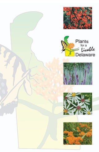 Livable Delaware Plants Promotes Native Alternatives to Invasive Species