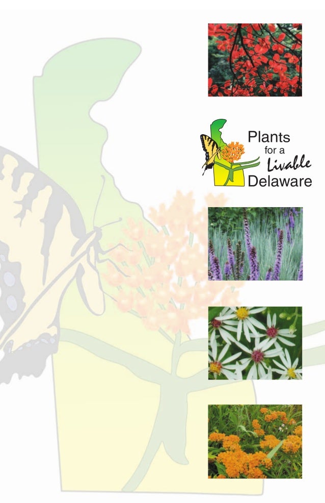 Plants for A Livable Delaware Landscaping with Native Plants