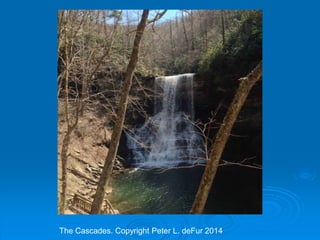 The Cascades. Copyright Peter L. deFur 2014