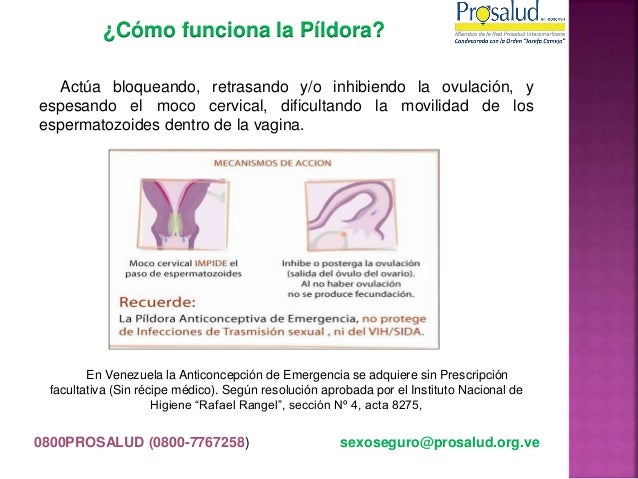 LOMBRISES EN ESTOMAGO. ASQUEROSIDAD, VER PARA CREER LOMBRISES EN ESTOMAGO. ASQUEROSIDAD, VER PARA CREER