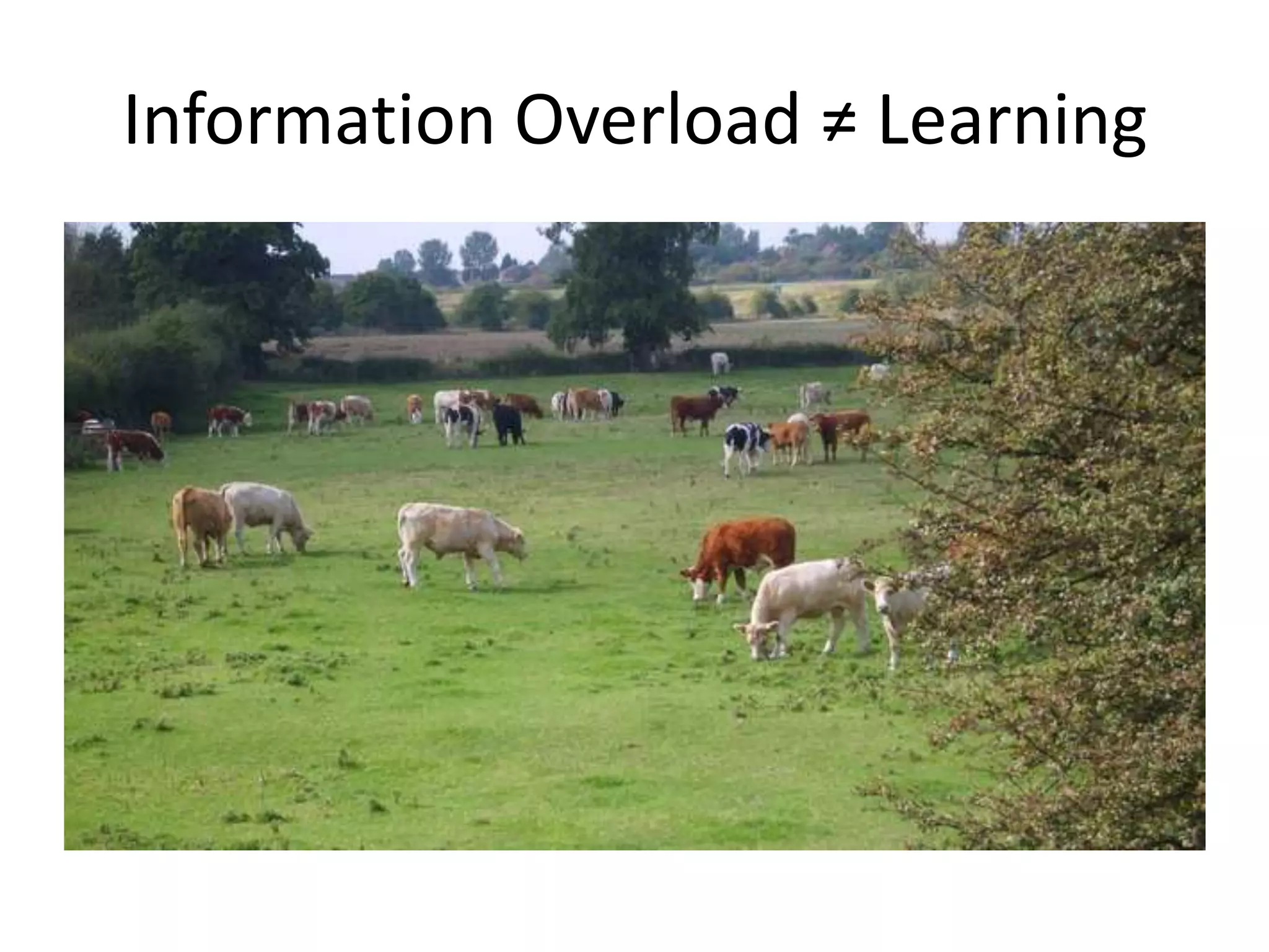 Information Overload ≠ Learning
 